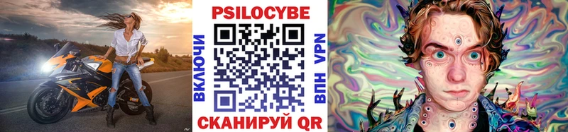 Купить где  Починок  Галлюциногенные грибы Cubensis 